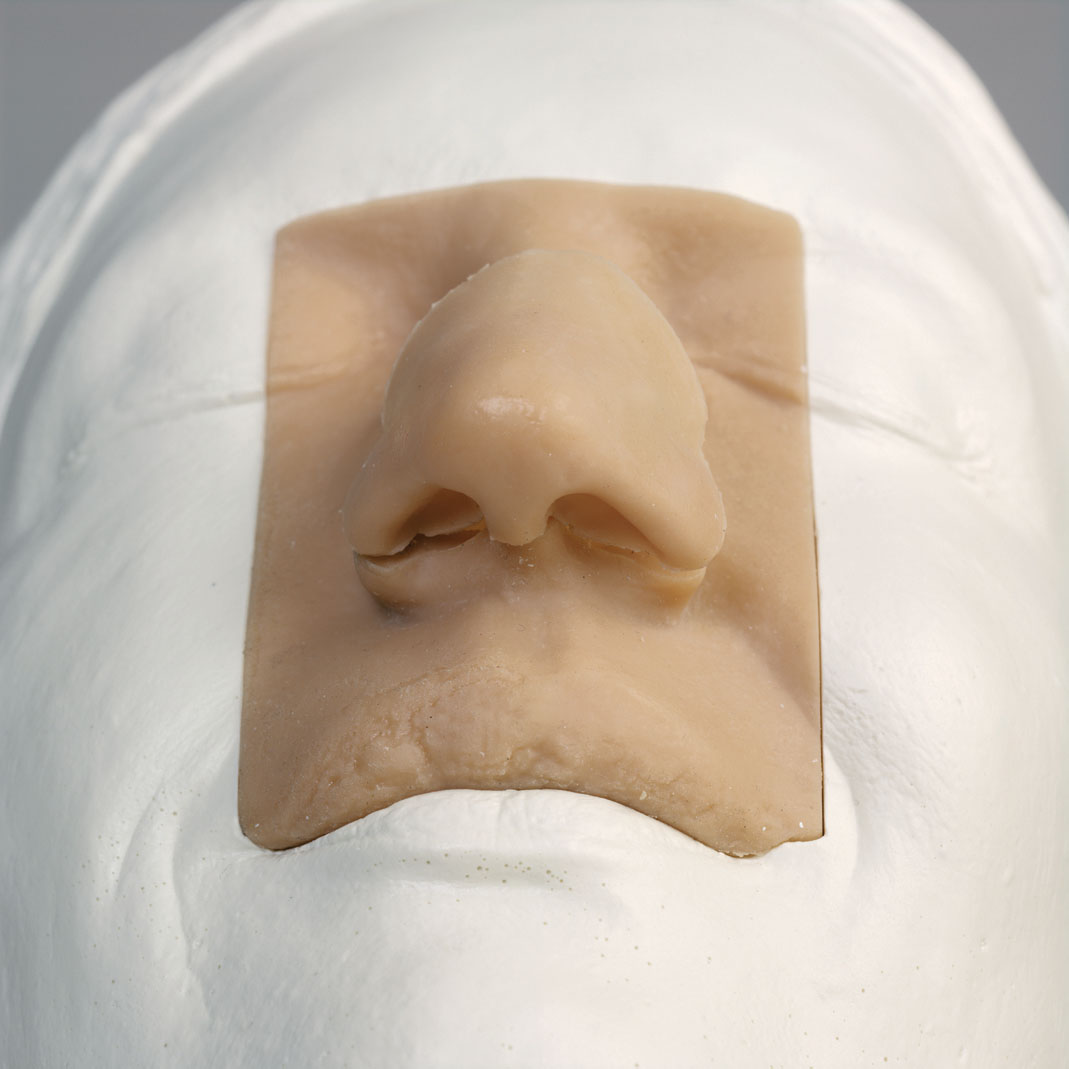 Rhinoplasty Model | Adam Rouilly