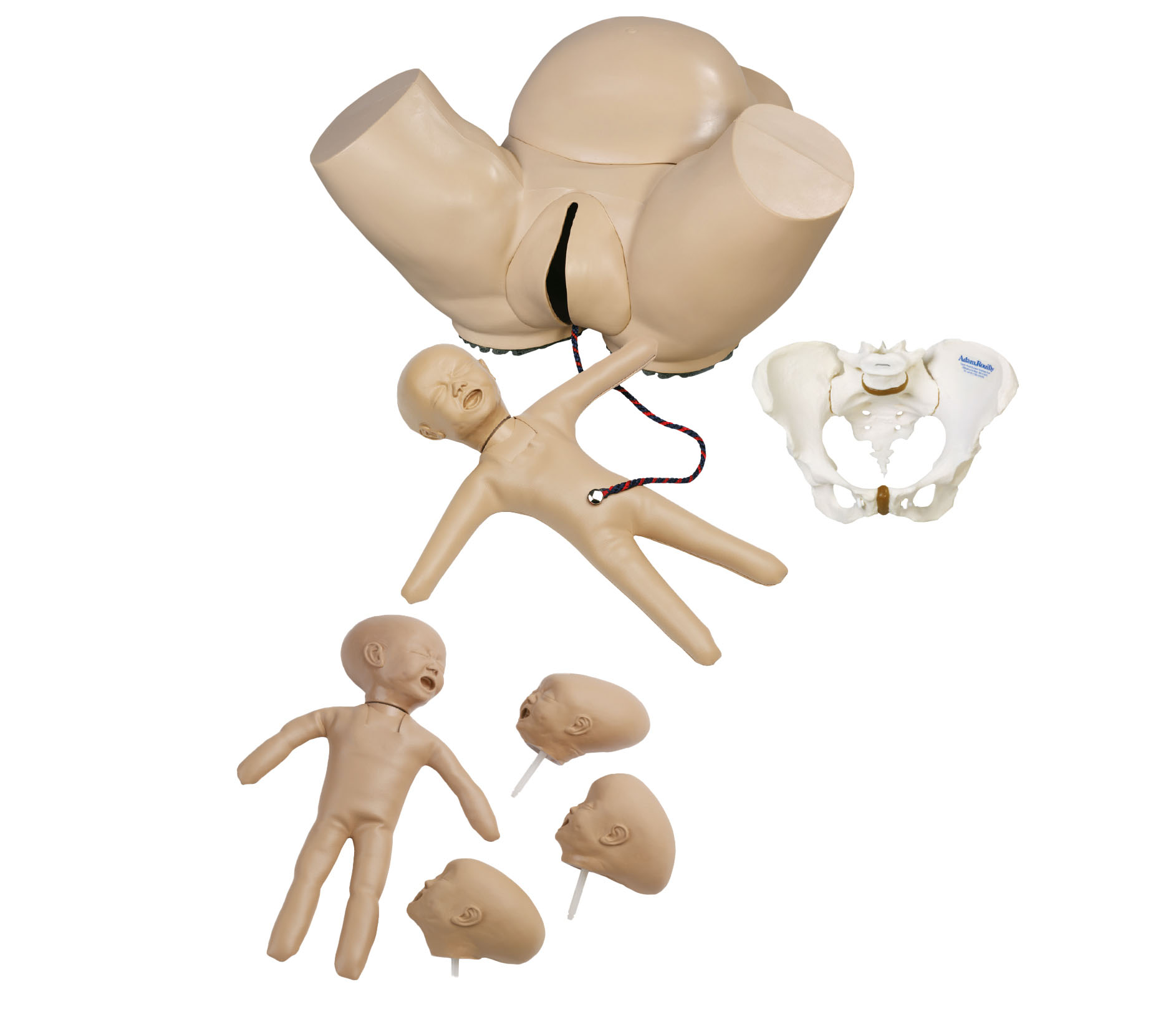 Obstetric Phantom Set, Light - Adam,Rouilly