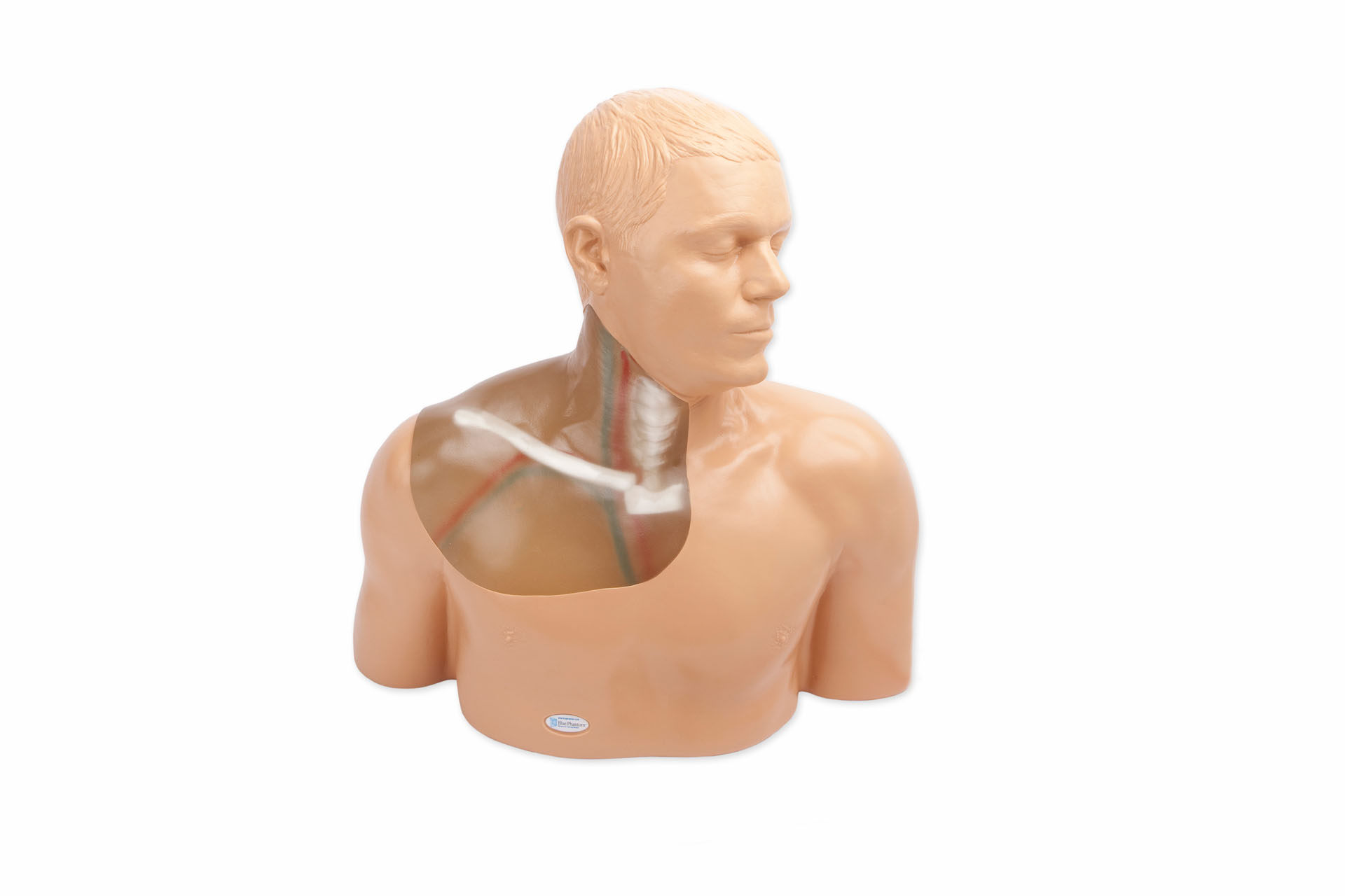 Gen II Central Line Ultrasound Training Model With Transparent Insert and Auto Pump