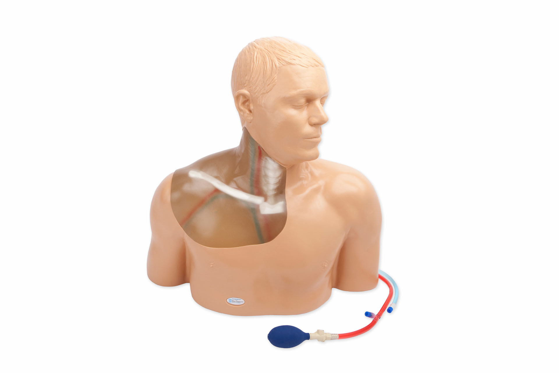 Gen II Central Line Ultrasound Training Model With Transparent Insert and Hand Pump