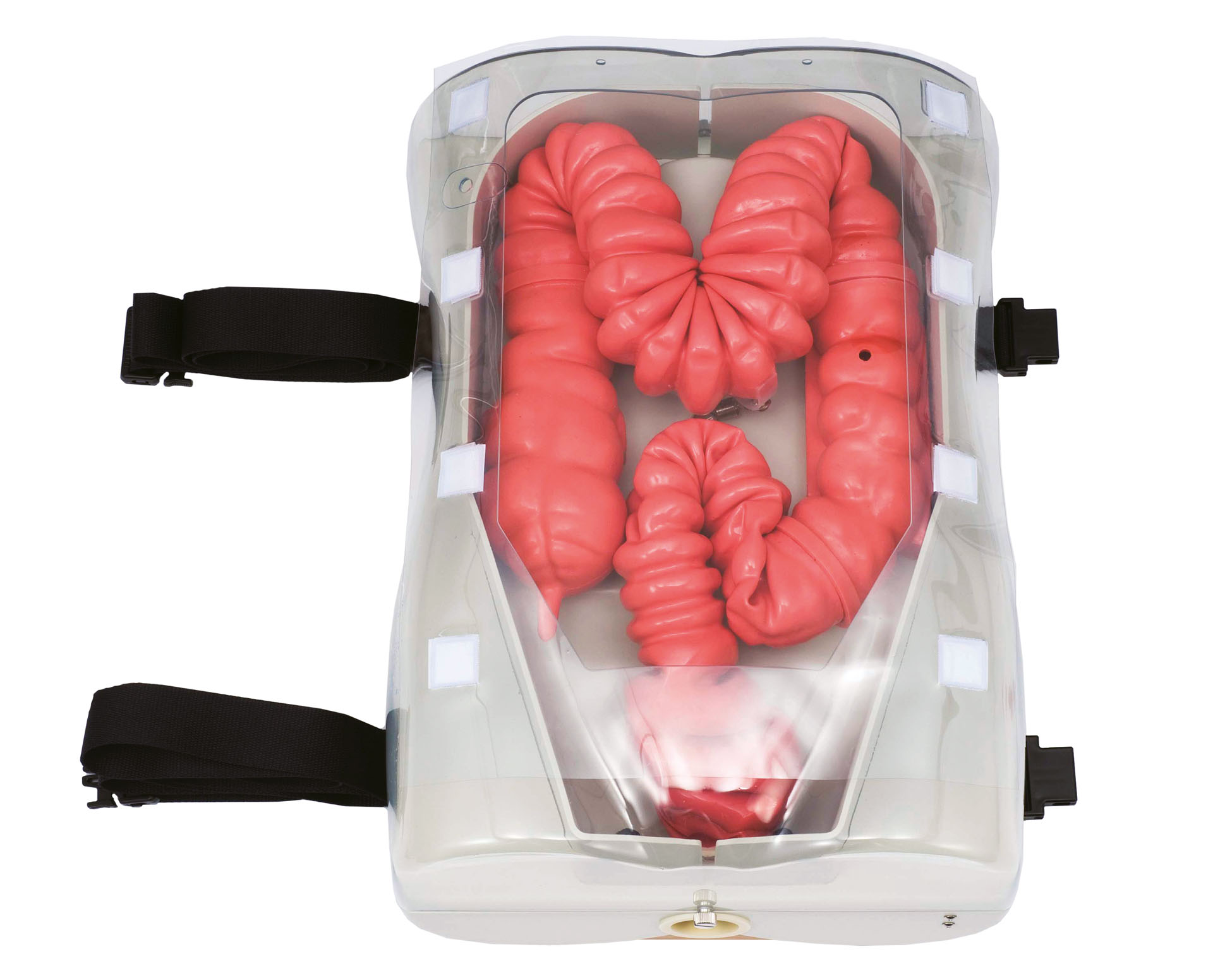 Koken Colonoscopy (Lower GI Endoscopy) Simulator Type II | Adam,Rouilly