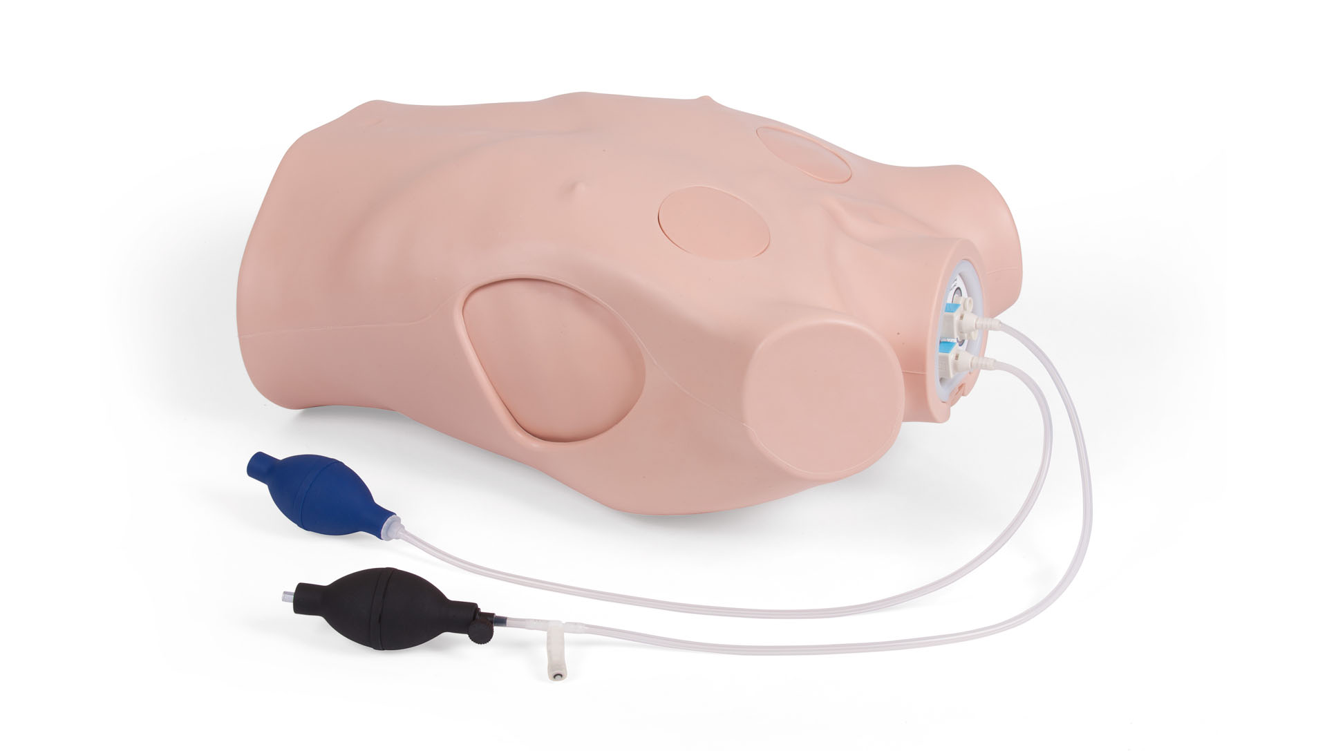 Chest Drain & Needle Trainer Adam,Rouilly