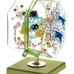 Model of a Liver Cell - Adam,Rouilly