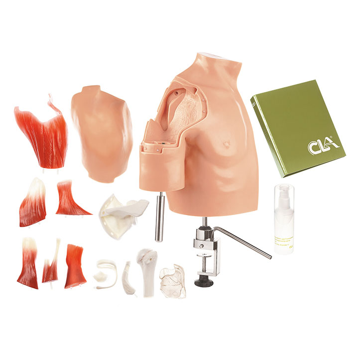 Arthroscopy Model of the Shoulder - Adam,Rouilly