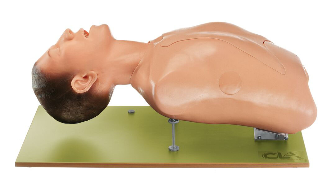 Intubation Phantom | Adam,Rouilly
