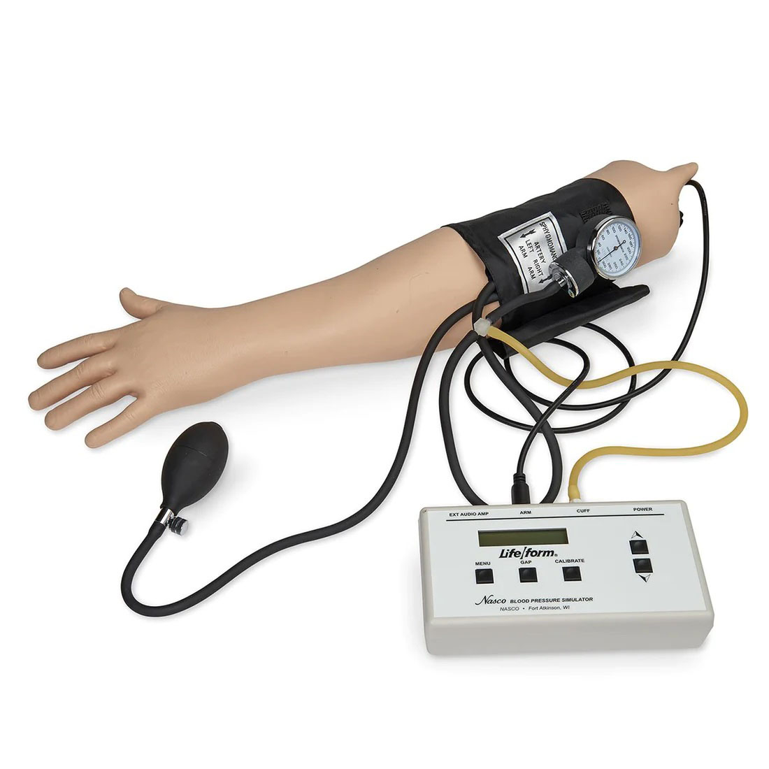 Deluxe Blood Pressure Simulator With Amplifier/Speaker System