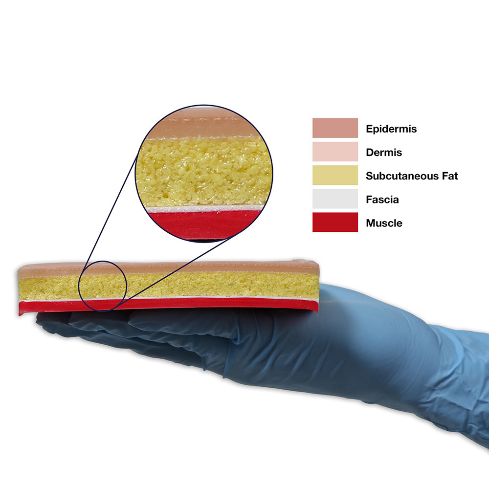 Suture Skills Trainer, Light - Adam,Rouilly